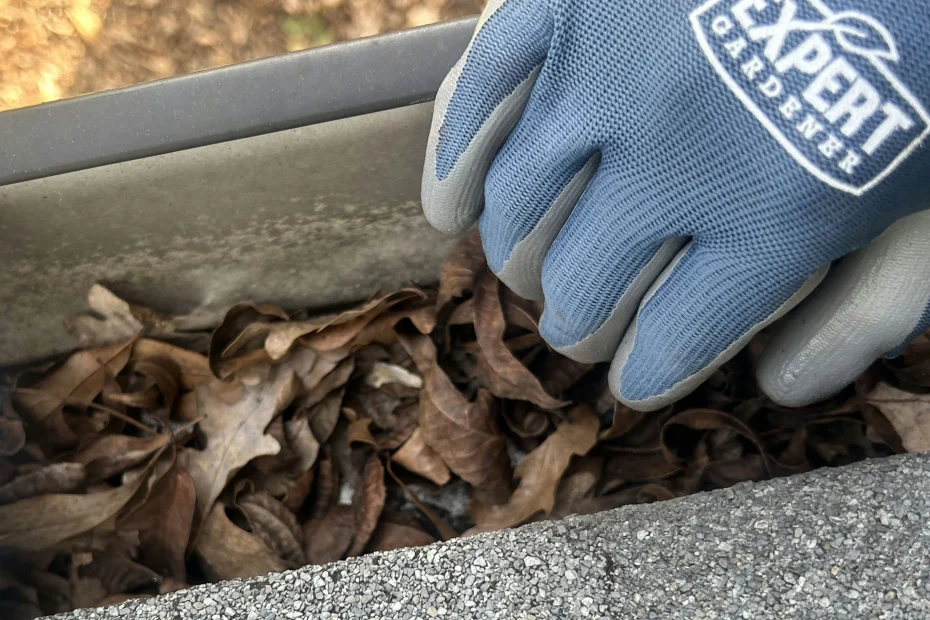 Gutter Cleaning Jamestown NC